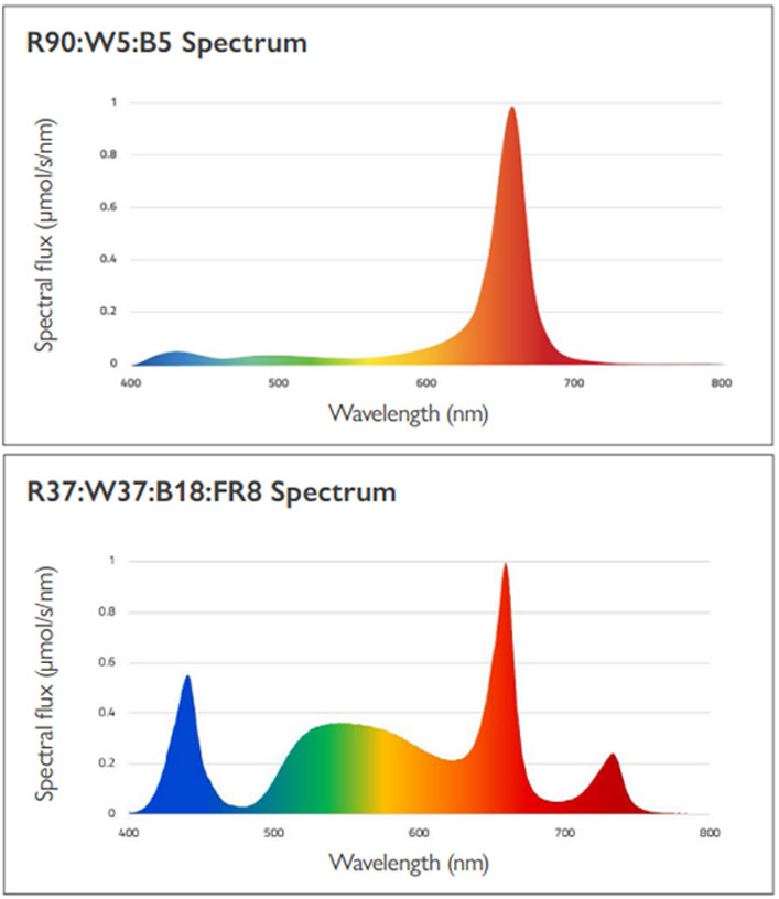 PL Light Systems ParFX BalensBeam